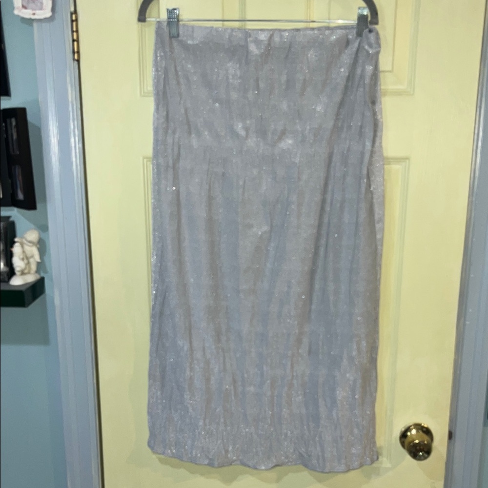 ZARA glitter elastic waist sheer skirt